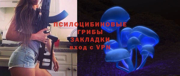 прущие крисы Корсаков