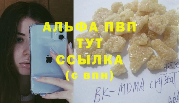прущие крисы Корсаков