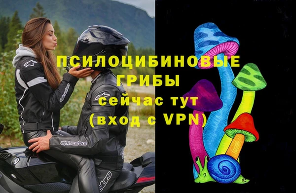 эйфоретик Кодинск