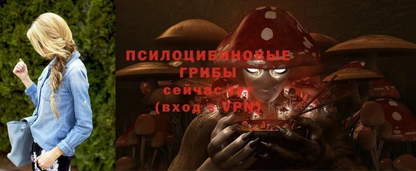 соль ск Козельск
